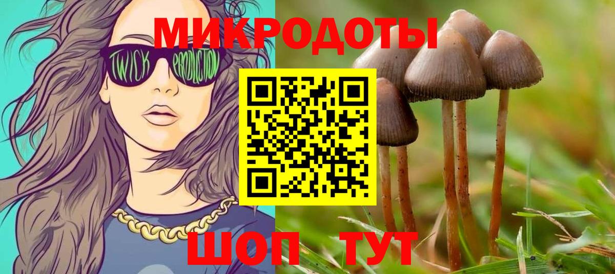 Галлюциногенные грибы Psilocybe Бахчисарай